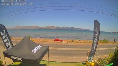 Alcudia