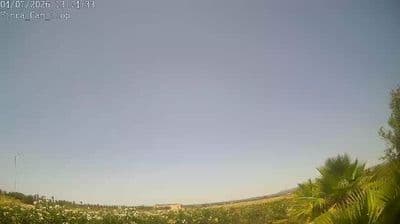 Live-Blick von Campos