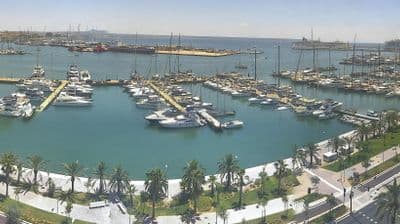 Live-Blick von Marina Port De Mallorca