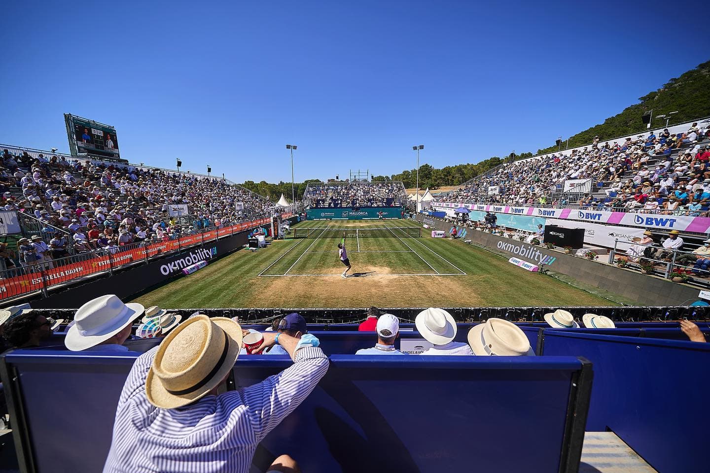 ATP Mallorca Tennis Championships