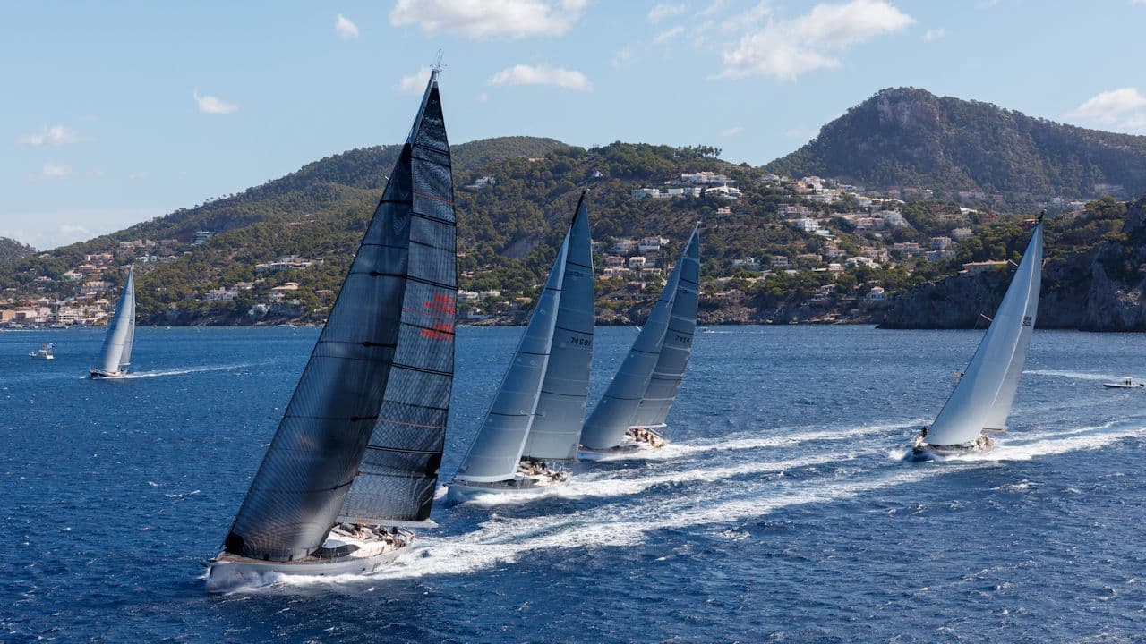Oyster Palma Regatta