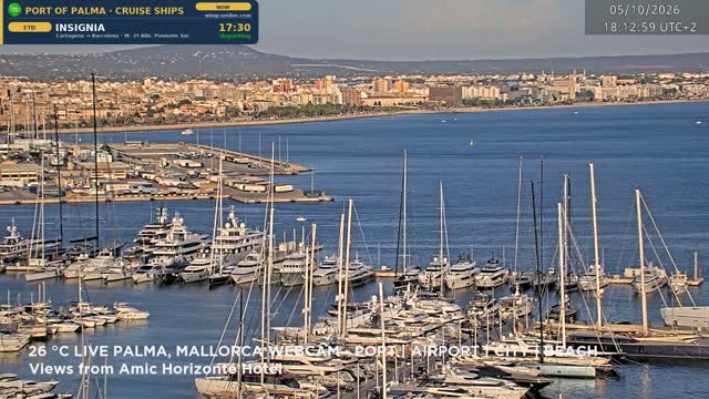 Live view from Palma – port and bay